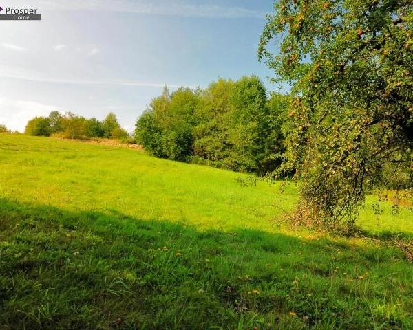 2,08 HA | 4 DZIAŁKI | 3 DOJAZDY | OGROMNE MOŻLIWOŚCI-3