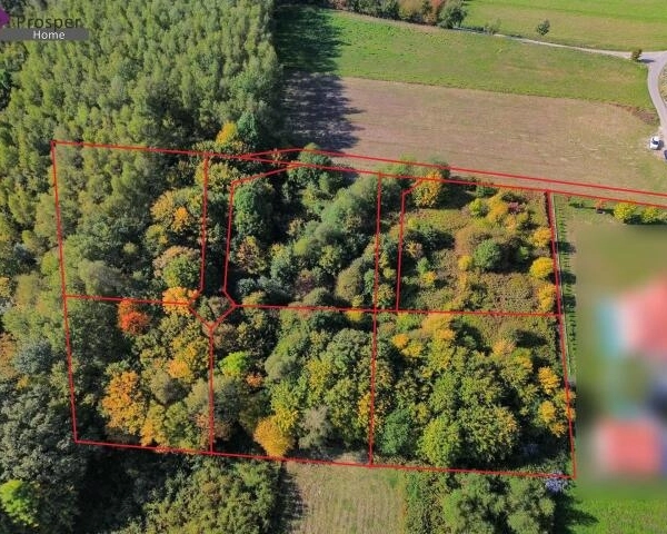 6 DZIAŁEK WIDOKOWYCH POD LASEM | MATYSÓWKA, RZESZÓW | WARUNKI ZABUDOWY-3