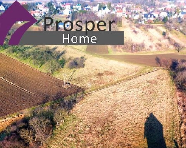 Atrakcyjne działki z WZ w Kańczudze !!!-7