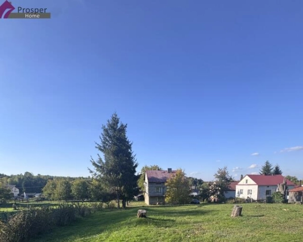 DOM NA SPRZEDAŻ | ŁOPUSZKA WIELKA | OK. 200 M² | DZIAŁKA 24 AR-3