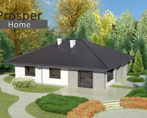 |Dom parterowy | 11,83a działka| garaż-6