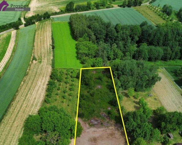 Dom parterowy na dużej 27-arowej działce | Pantalowice, gm. Kańczuga-7