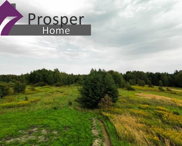 Działka 11a | Plan zagospodarowania| Nowe osiedle-2