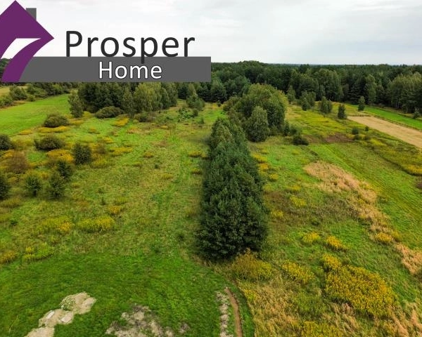 Działka 11a | Plan zagospodarowania| Nowe osiedle-5