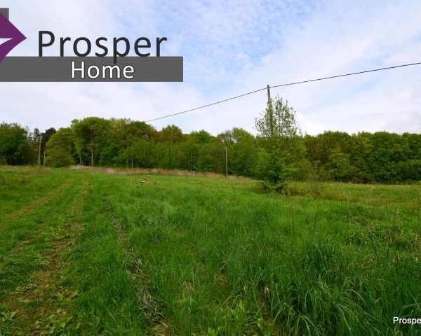 Działka 15a w malowniczym Chmielniku| Blisko las-5