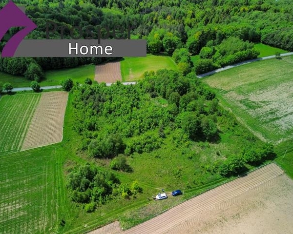 Działka 50 ar gmina Niebylec |Blizianka-2