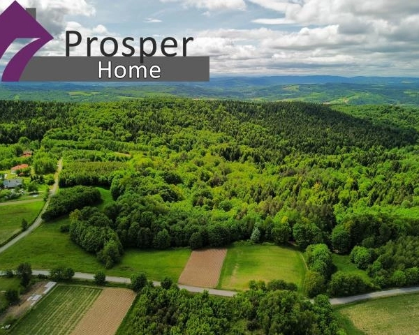 Działka 50 ar gmina Niebylec |Blizianka-3