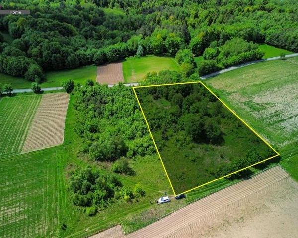 Działka 50 ar gmina Niebylec |Blizianka