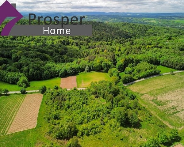 Działka 50 ar gmina Niebylec |Blizianka-1