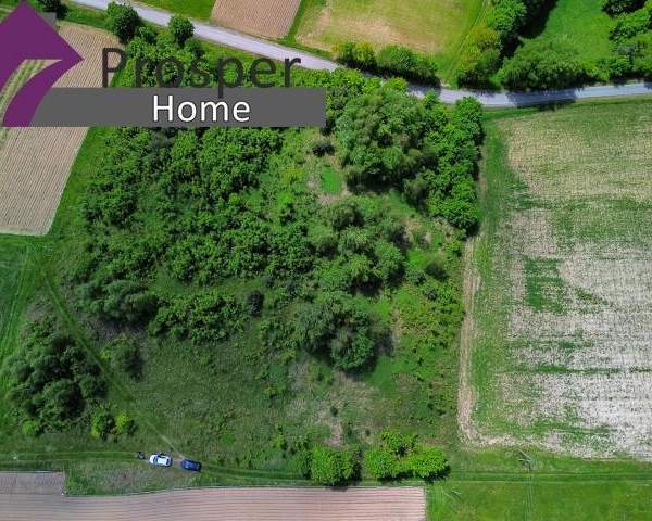 Działka 50 ar gmina Niebylec |Blizianka-4