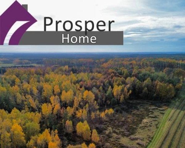 Działka przy lesie z WZ | Brzyska Wola-2