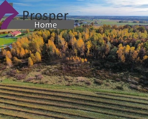 Działka przy lesie z WZ | Brzyska Wola-3