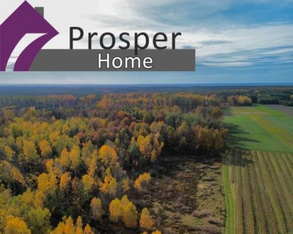 Działka przy lesie z WZ | Brzyska Wola