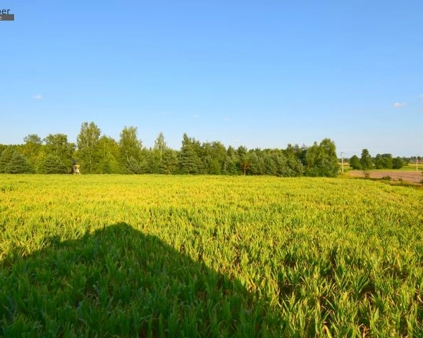 Działka w Budach Łańcuckich 16arów WZ-2