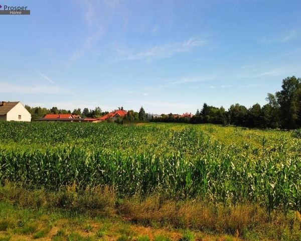 Działka w Budach Łańcuckich 16arów WZ-5