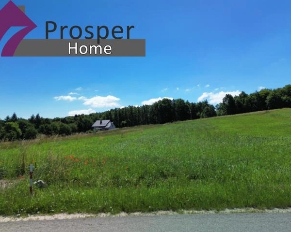 Działka z WZ 13a• Widokowa • Mogielnica-6