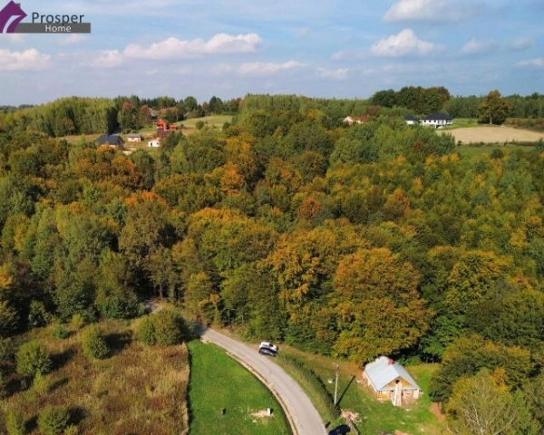 DZIAŁKA Z WZ BEZTERMINOWA Z WIDOKIEM NA LAS | BRZEZÓWKA gmina HYŻNE |-3
