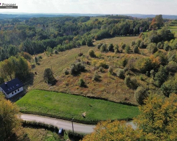 DZIAŁKA Z WZ BEZTERMINOWA Z WIDOKIEM NA LAS | BRZEZÓWKA gmina HYŻNE |-5