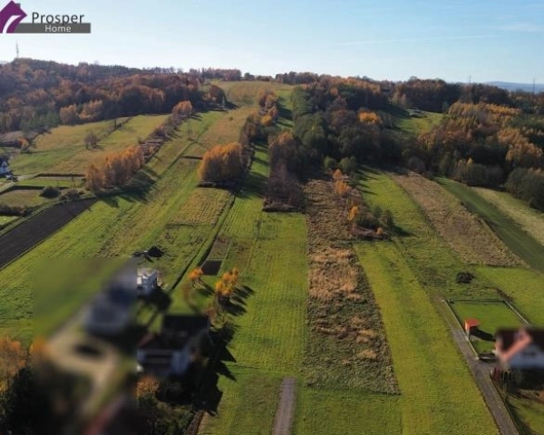 Działka z WZ | ZALESIE |4a| Cicha okolica-1