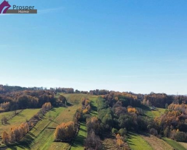 Działka z WZ | ZALESIE |4a| Cicha okolica-2