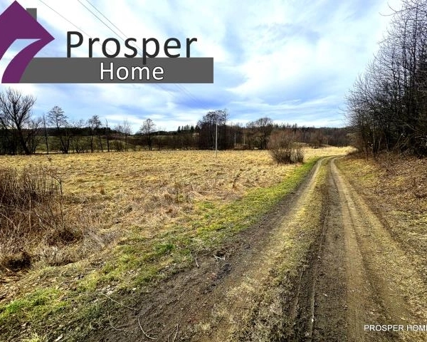 Działki w malowniczym miejscu| Las|Przyroda|