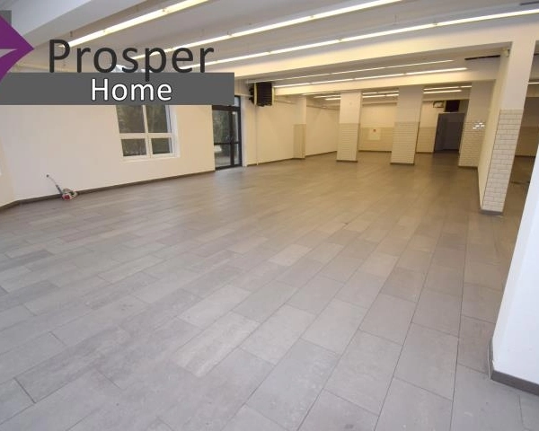 Lokal na parterze| duży parking| 400lub 600m2-6