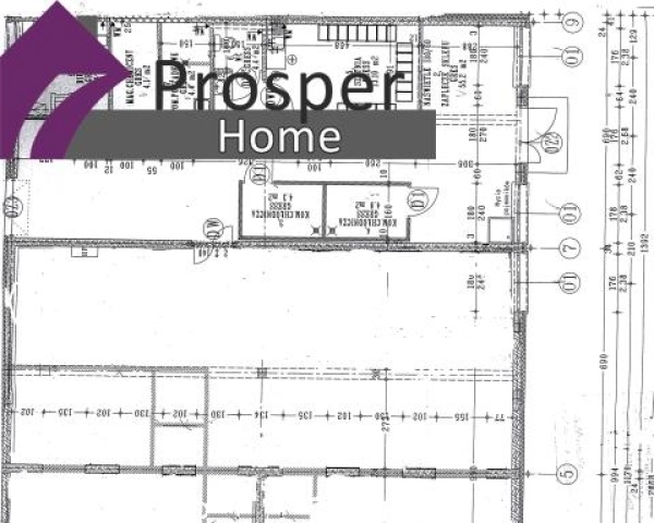 Lokal na parterze| duży parking| 400lub 600m2-10