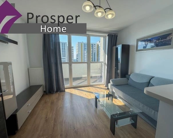 M4 do wynajęcia SKYRES ul. Warszawska