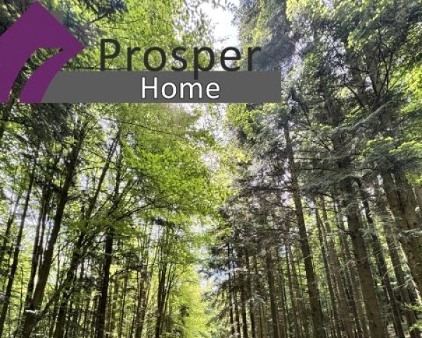 Magiczna działka w lesie ze strumykiem!!!