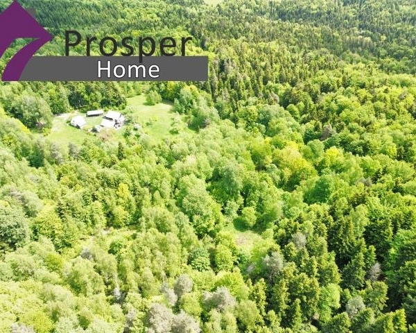 Magiczna działka w lesie ze strumykiem!!!-1