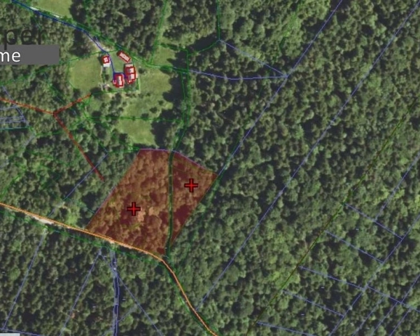 Magiczna działka w lesie ze strumykiem!!!-5