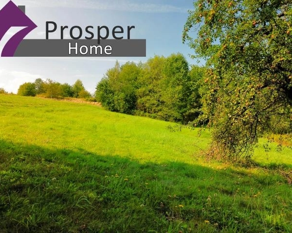 Malownicza działka 2,08ha z drewnianym domem-2