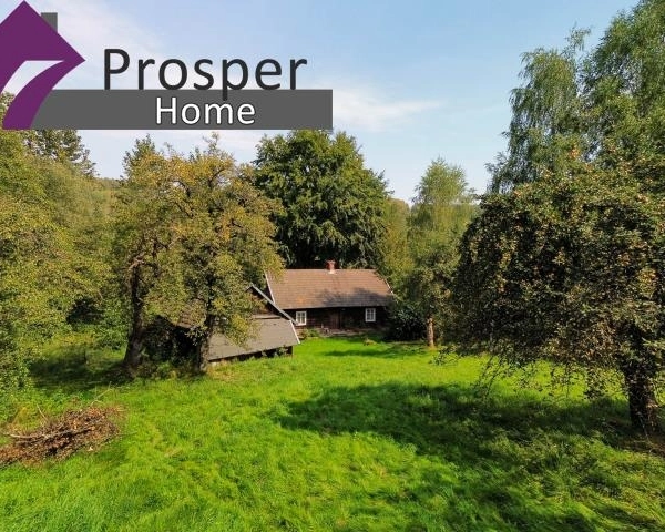 Malownicza działka 2,08ha z drewnianym domem-1