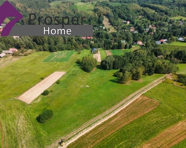 Malownicza działka 2,08ha z drewnianym domem-5