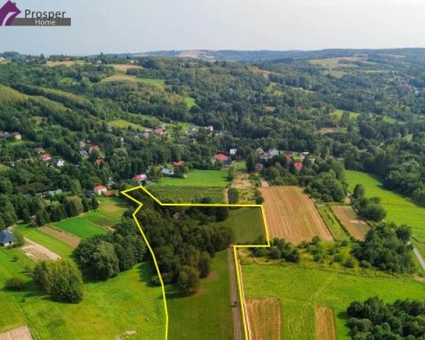 Malownicza działka 2,08ha z drewnianym domem-6