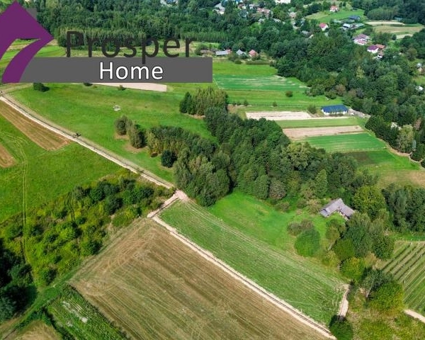 Malownicza działka 2,08ha z drewnianym domem-7