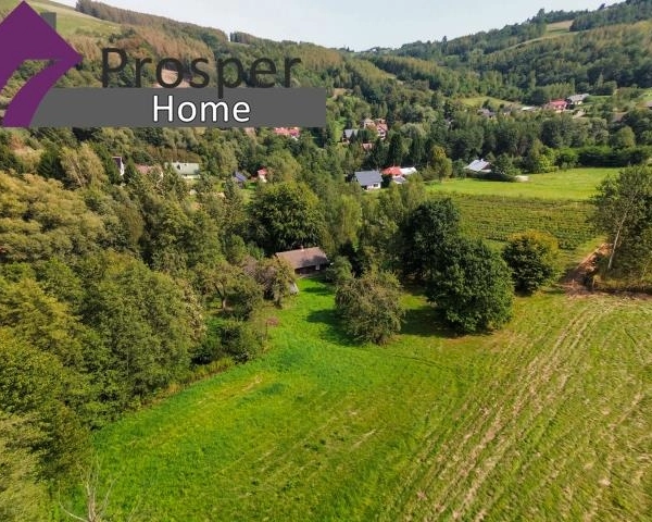 Malownicza działka 2,08ha z drewnianym domem-4