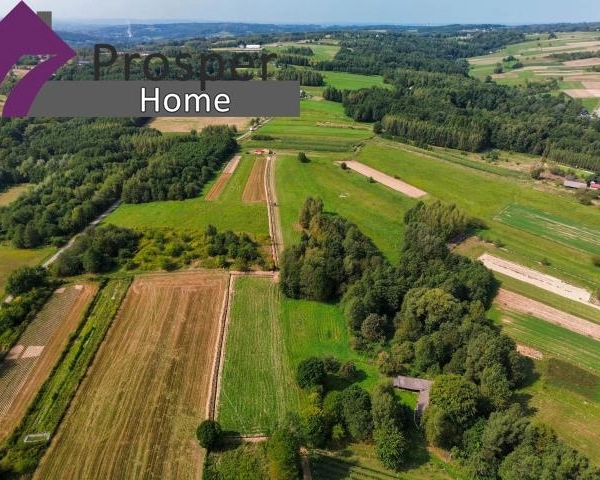 Malownicza działka 2,08ha z drewnianym domem-8