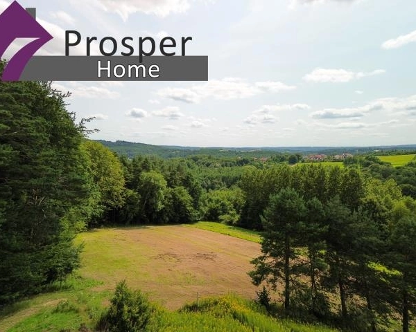 Piękna działka przy lesie 86a | WZ| Blisko Rzeszów-2