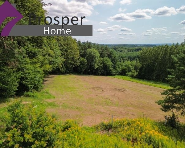 Piękna działka przy lesie 86a | WZ| Blisko Rzeszów-8