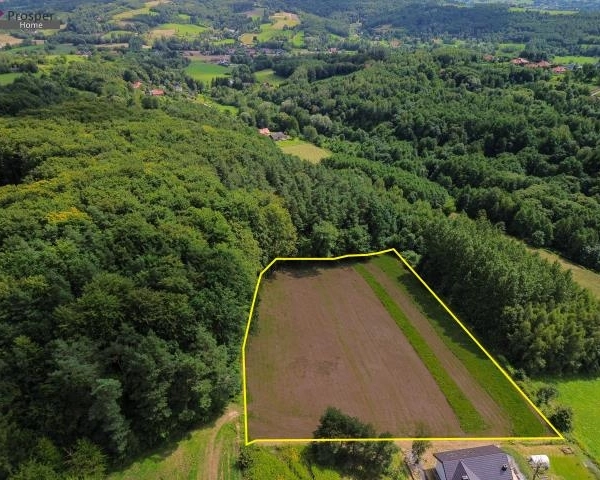 Piękna działka przy lesie 86a | WZ| Blisko Rzeszów-1