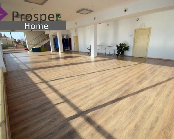 Przestronny lokal z dużymi przeszkleniami! 204m2-3