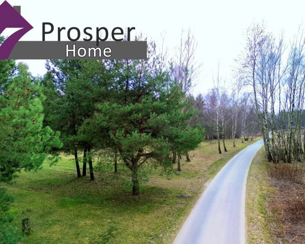 Wyjątkowa działka w Boreczku z własnym lasem!!-1