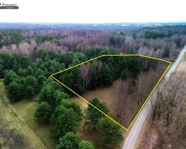 Wyjątkowa działka w Boreczku z własnym lasem!!