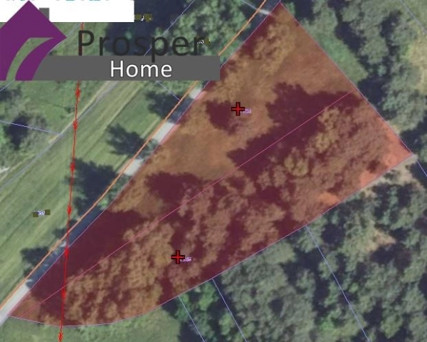 Wyjątkowa działka w Boreczku z własnym lasem!!-9