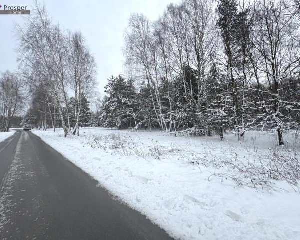 Wyjątkowa działka w Boreczku z własnym lasem!!-5