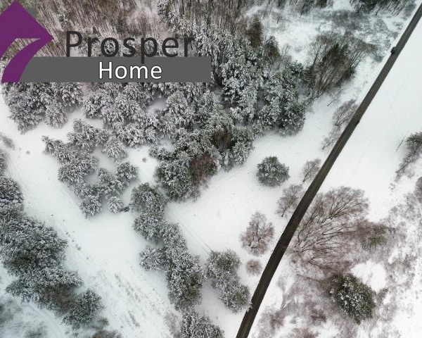 Wyjątkowa działka w Boreczku z własnym lasem!!-7