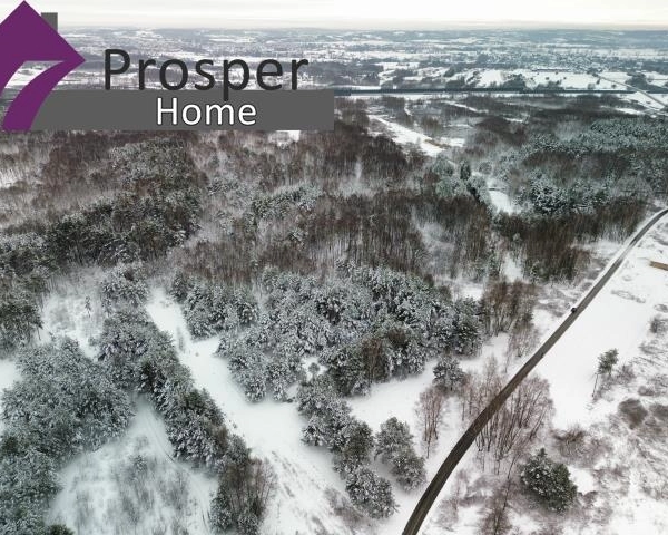 Wyjątkowa działka w Boreczku z własnym lasem!!-8